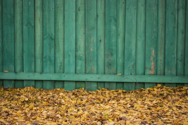 Blad daling van de herfst parklandschap — Stockfoto