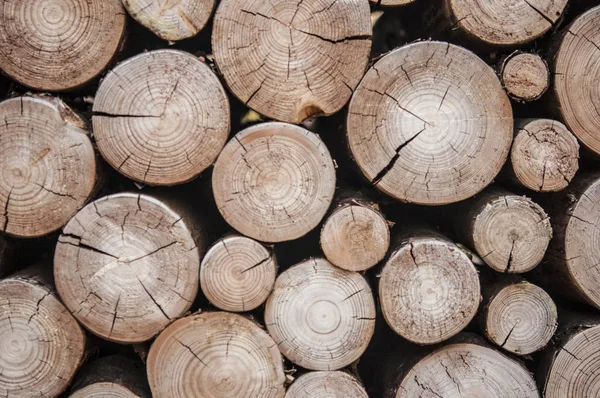 Pilha de troncos de madeira tocos para o inverno — Fotografia de Stock