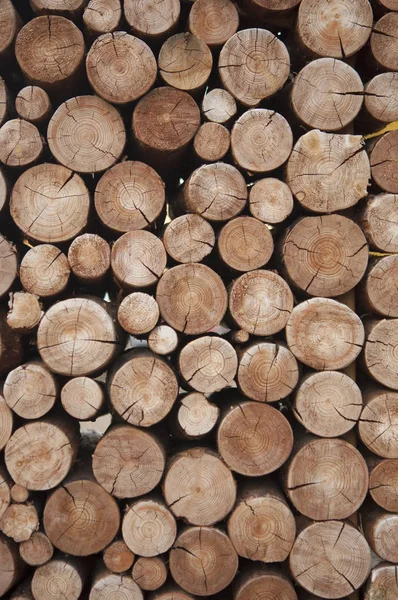 Pilha de troncos de madeira tocos para o inverno — Fotografia de Stock