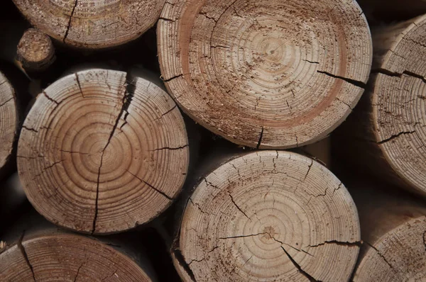 Sterta drewnianych pni na zimę — Zdjęcie stockowe