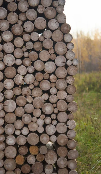 Pile of wood logs stumps for winter — Stock Photo, Image