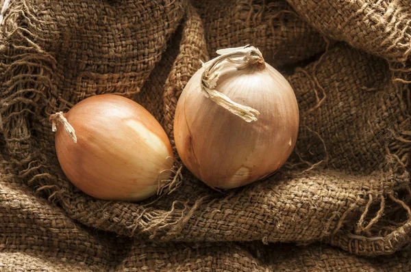Fresh onion in burlap sack bag — Stock Photo, Image