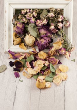 Doğal ahşap zemin üzerinde kurumuş kırmızı güller olan beyaz çerçeve. İçinizdeki metni girmek için kullanışlı tasarım