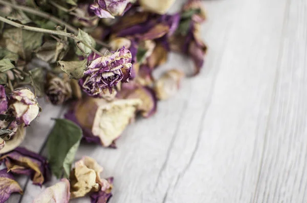 Ahşap zemin üzerinde kurumuş güller kopya alanı ile birlikte.