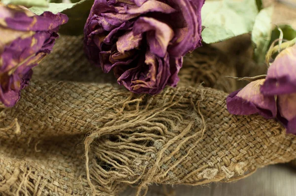 Abstraktes Rosenbouquet Bouquet Aus Getrockneten Blumen Mit Alter Klettenstruktur Auf — Stockfoto