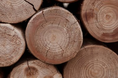 Arka plan için düzenli olarak düzenlenmiş odun