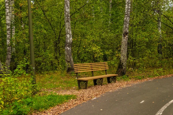 Eine Holzbank Unter Den Orangefarbenen Und Gelben Bäumen — Stockfoto