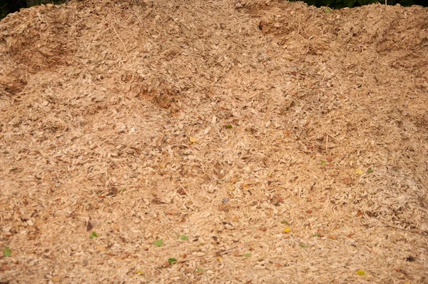 Trociny Lub Tło Tekstury Pyłu Drzewnego — Zdjęcie stockowe
