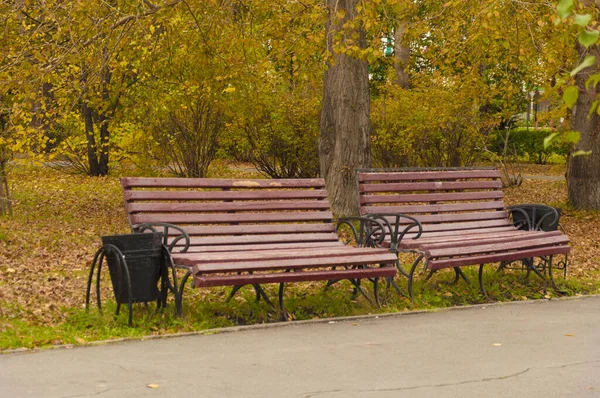 Wooden Bench Orange Yellow Trees — Stock Photo, Image