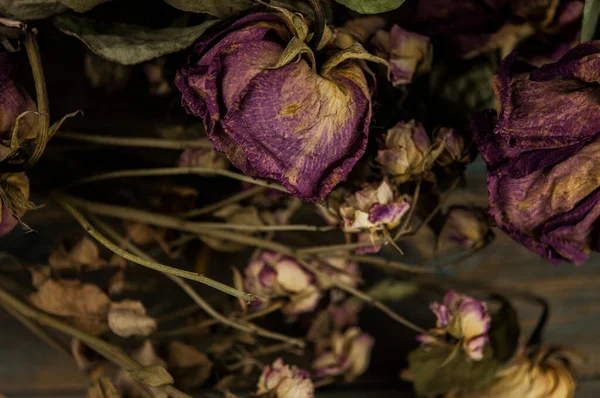 Pile Roses Roses Séchées Sur Vieux Fond Rustique Bois Comme — Photo