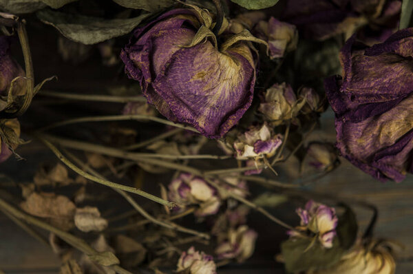 Куча розовых сушеных роз на старом деревенском деревянном фоне в качестве границы.