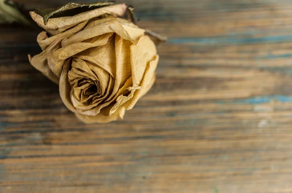 Pilha Rosa Rosas Secas Velho Fundo Madeira Rústica Como Fronteira — Fotografia de Stock