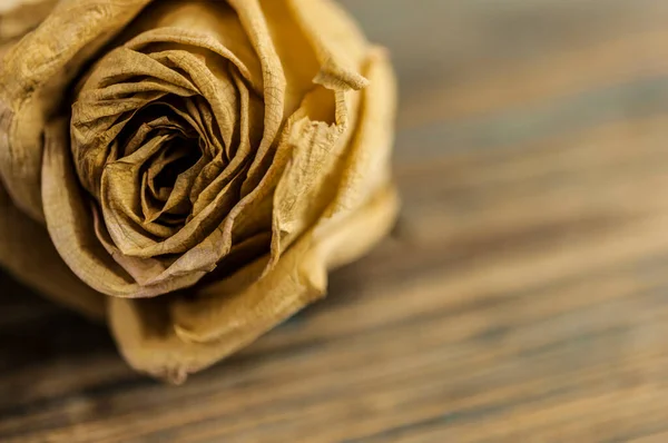 Haufen Rosa Getrockneter Rosen Auf Altem Rustikalem Holzgrund Als Bordüre — Stockfoto