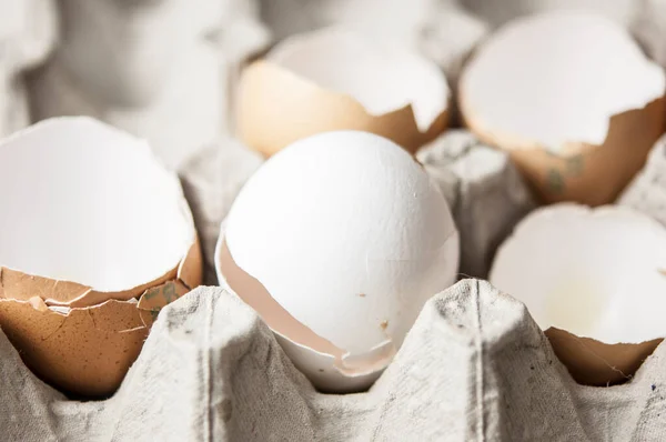 Много Скорлупы Яйца Разбросаны Картонное Яйцо — стоковое фото