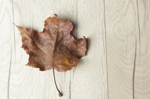 Closeup Red Maple Leaf Old Wood Plank — Stock Photo, Image