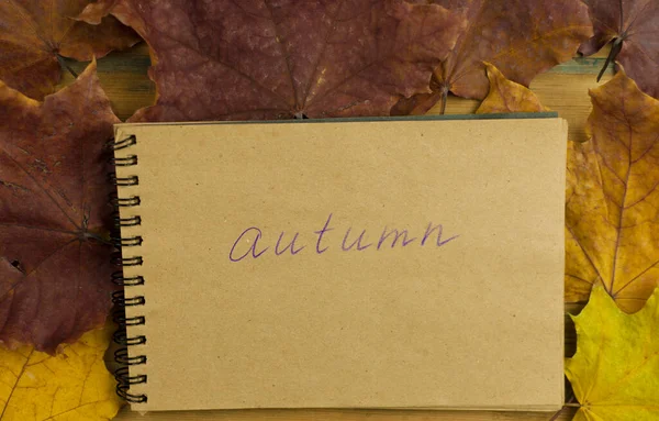Herbst Hintergrund Rote Blätter Auf Einem Holzsockel Platz Für Text — Stockfoto