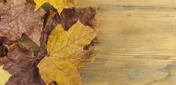 Primo Piano Foglia Acero Rosso Tavola Legno Vecchio — Foto Stock