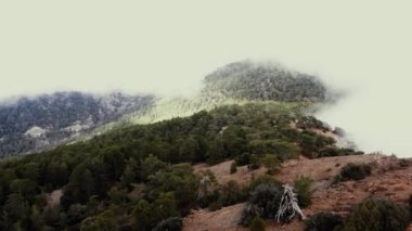 Troodos dağlarının üzerinde uçuyor. Limasol District, Kıbrıs