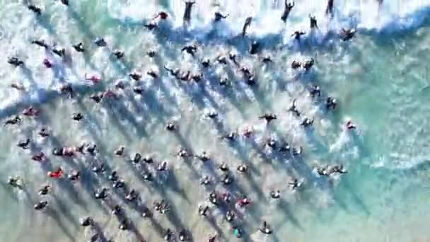 Начало Триатлона Показывающего Пловцов Направляющихся Море — стоковое видео