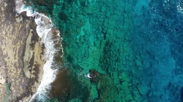 Vue Aérienne Littoral Rocheux — Video