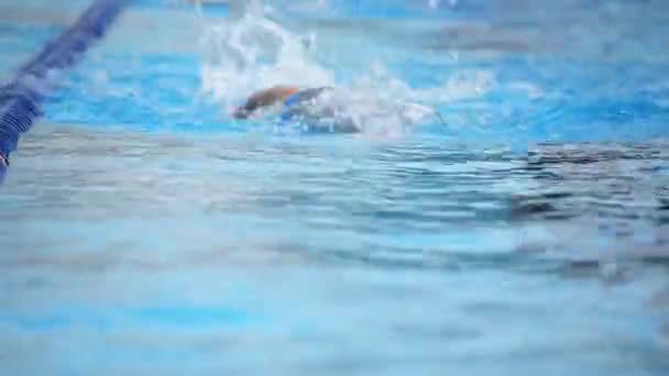 游泳运动员在游泳池里的训练 — 图库视频影像