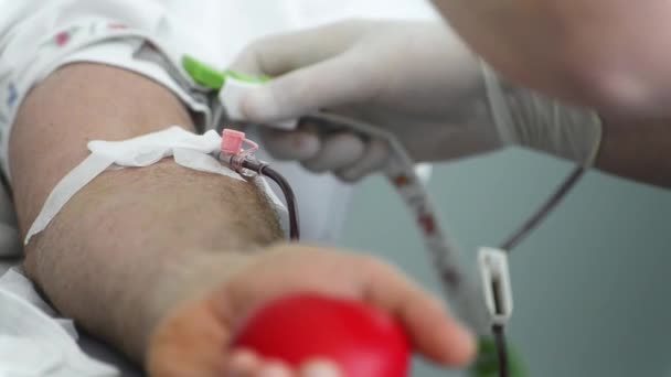 Procedimento Amostragem Sangue Para Banco Sangue Conceito Doação Sangue — Vídeo de Stock