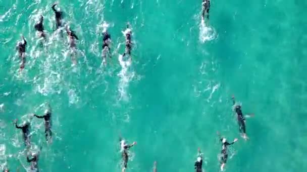 ターコイズブルーの海で開かれた水泳競技会の水泳選手の空中写真 — ストック動画