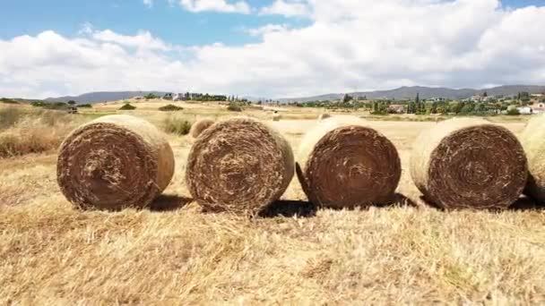 Straw Bales Hay Stubble Field Rural Landscape — Stock Video