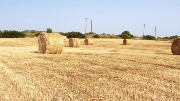 Moving Hay Bales — Stock Video