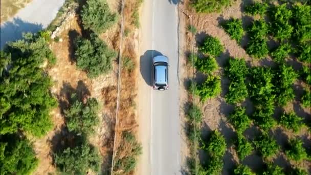 보이는 크로스오버 Suv 차량이 시골길을 운전하는 — 비디오