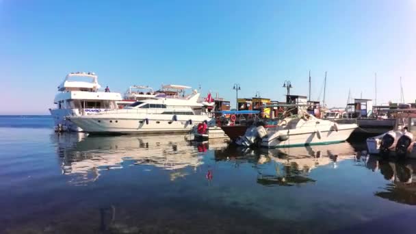 Paphos Cyprus November 2018 Yahcts Boats Paphos Harbour — 图库视频影像