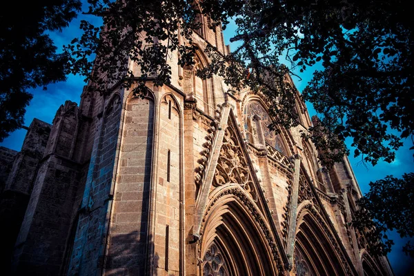 Lala Mustafa Paşa Camii 'nin delinmiş Gotik tarzı balyasıdır. Famagusta, Kıbrıs — Stok fotoğraf