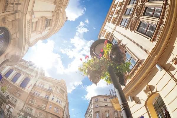 Prince Michael Street Kneza Mihaila Knez Mihailova Célèbre Rue Piétonne — Photo