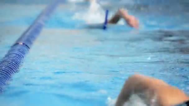 Atletas Não Reconhecidos Nadando Uma Piscina — Vídeo de Stock