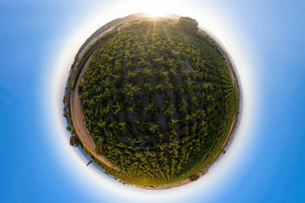 Kıbrıs 'ın Avdimou kentindeki küçük üzüm bağları gezegeni