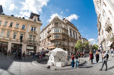 Belgrad, Sırbistan - 11 Eylül 2019: Delijska İçme Su Fıskiyesi ve Sırbistan Bilim ve Sanat Akademisi