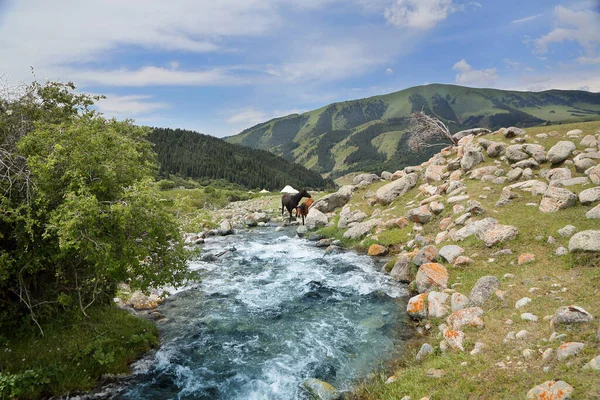 Nature Tourist Kyrgyzstan Clear Stormy River Mountains Rocks — Stock Photo, Image