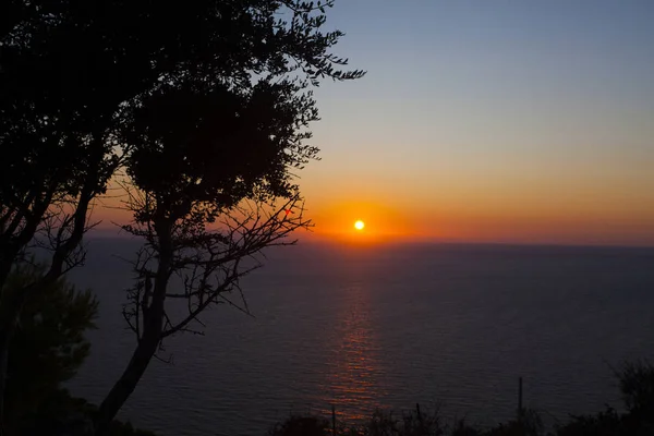 Silueta Árbol Solitario Contra Puesta Sol Dorada — Foto de Stock