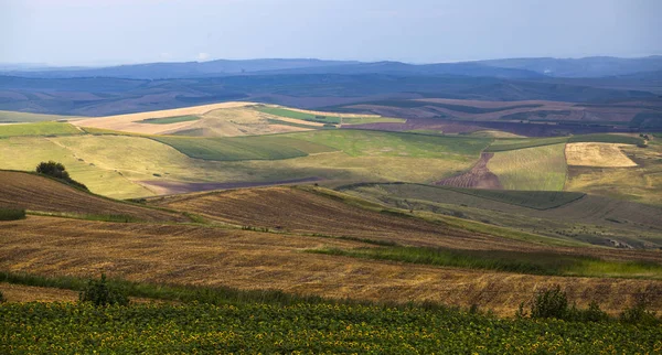 Piękny Krajobraz Kolorowy Lato Pól Burzliwy Niebo — Zdjęcie stockowe