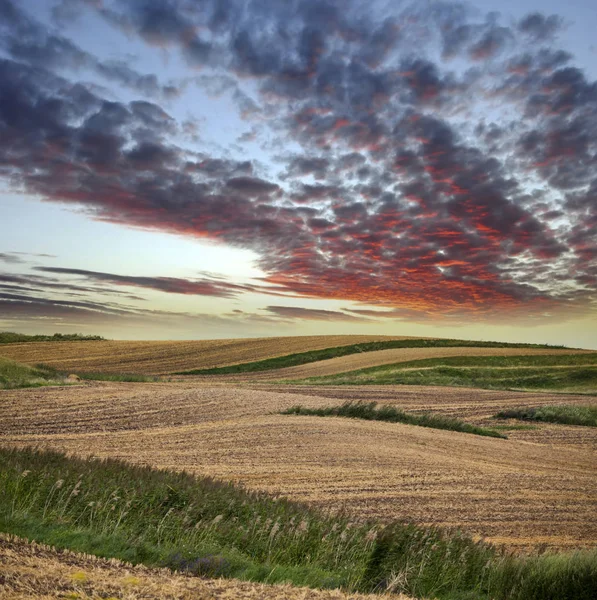 Prachtige Landschap Van Kleurrijke Zomer Velden Stormachtige Lucht — Stockfoto