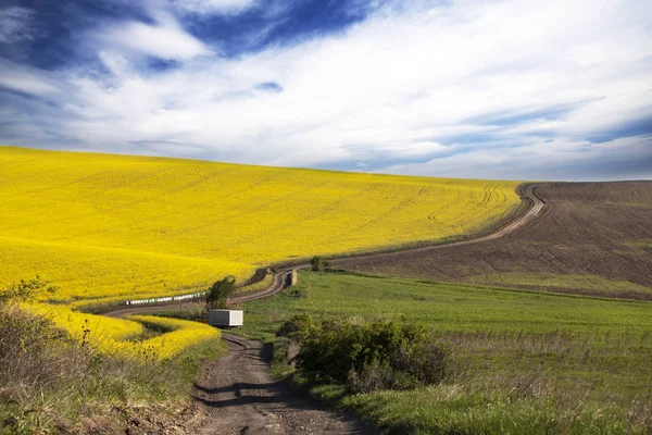 Kurvenreiche Straße Blühenden Rapsfeld Schöne Landschaft Blauer Himmel — Stockfoto