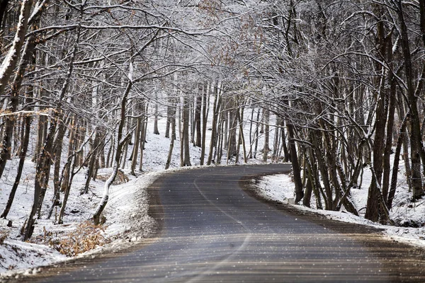 Carretera Bosque Invierno —  Fotos de Stock