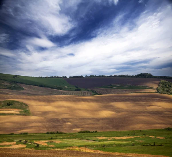 Сельскохозяйственные Коричневые Зеленые Поля Голубое Небо — стоковое фото