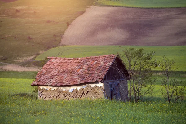 Malé Opuštěné Dřevěný Dům Zeleném Poli Příroda Jarní Krajina — Stock fotografie