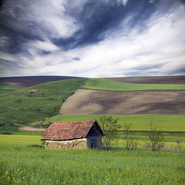 Small Abandoned Wooden House Green Field Nature Spring Landscape — Stock Photo, Image