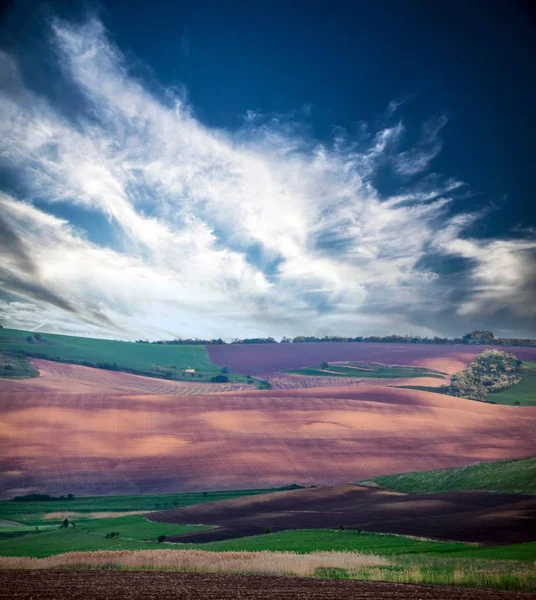 Braune Und Grüne Felder Und Blauer Himmel — Stockfoto