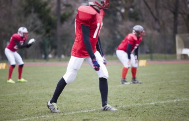 Profesyonel Amerikan futbolu oyunu