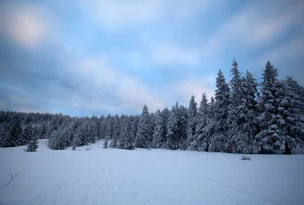 Jul Och Nyår Bakgrund Med Vinter Träd Berg Täckt Nysnö — Stockfoto
