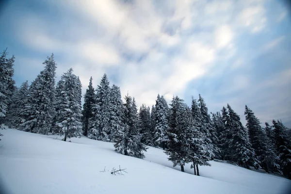 Fondo Navidad Año Nuevo Con Árboles Invierno Montañas Cubiertas Nieve —  Fotos de Stock