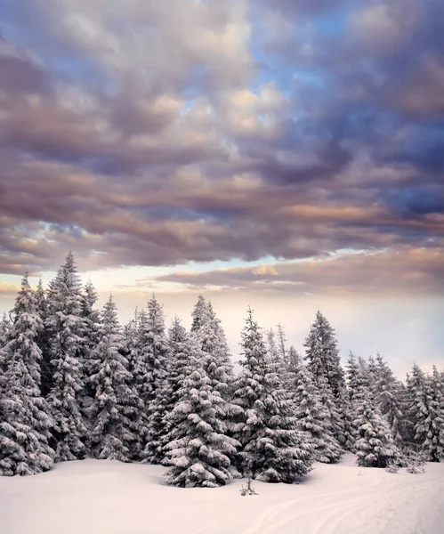 Jul Och Nyår Bakgrund Med Vinter Träd Berg Täckt Nysnö — Stockfoto